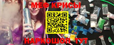 эйфоретик Тара