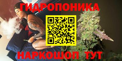 эйфоретик Тара