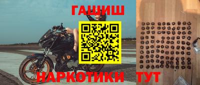 эйфоретик Тара