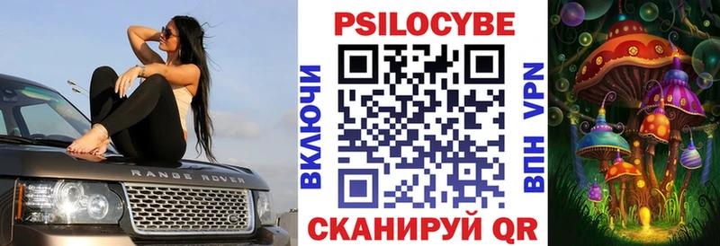 что такое   Славянск-на-Кубани  Псилоцибиновые грибы ЛСД 