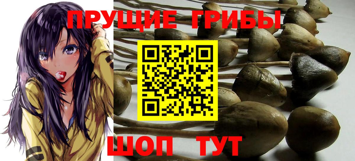 Псилоцибиновые грибы прущие грибы  Вход с VPN  Славянск-на-Кубани 